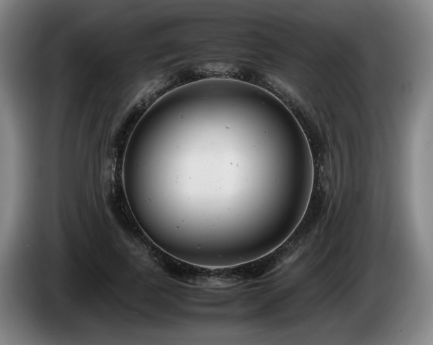 X0000085210739200703091138