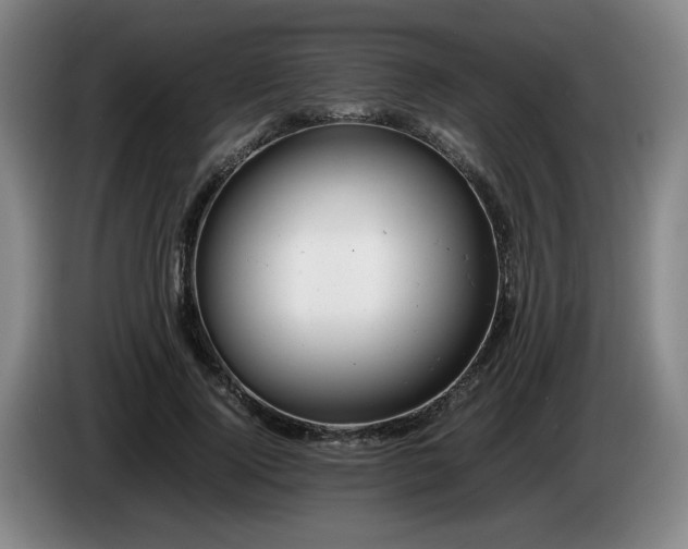 X0000085210740200703091138