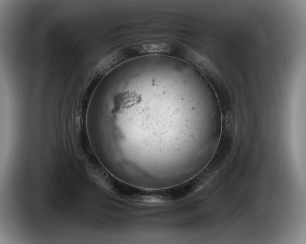 X0000085210741200703091138