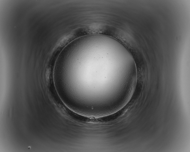 X0000085210742200703091138