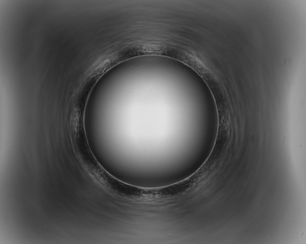 X0000085210744200703091138