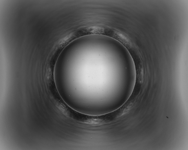X0000085210748200703091138