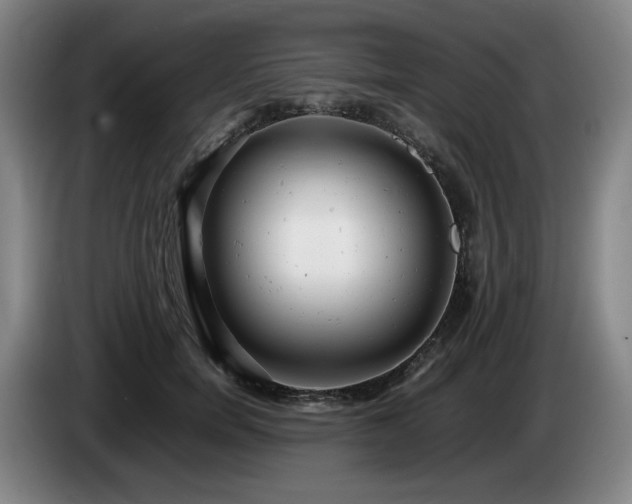 X0000085210750200703091138