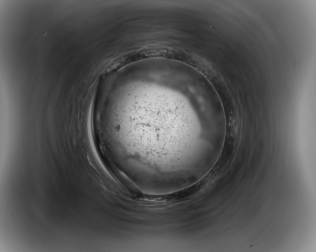 X0000085210753200703091138