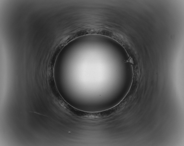 X0000085210756200703091138