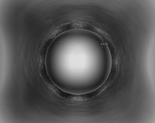 X0000085210759200703091138