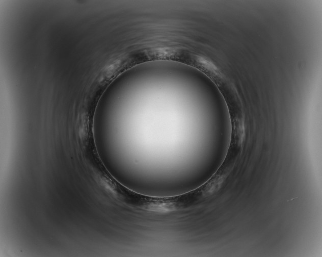 X0000085210760200703091138
