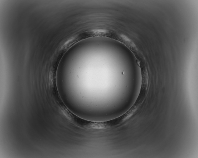 X0000085210762200703091138