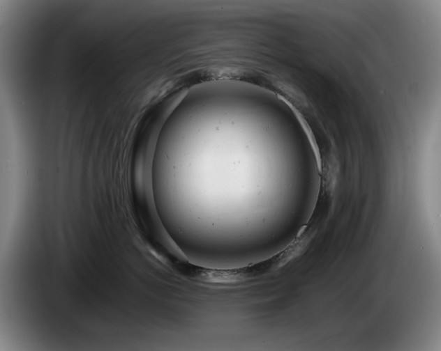 X0000085210766200703091139