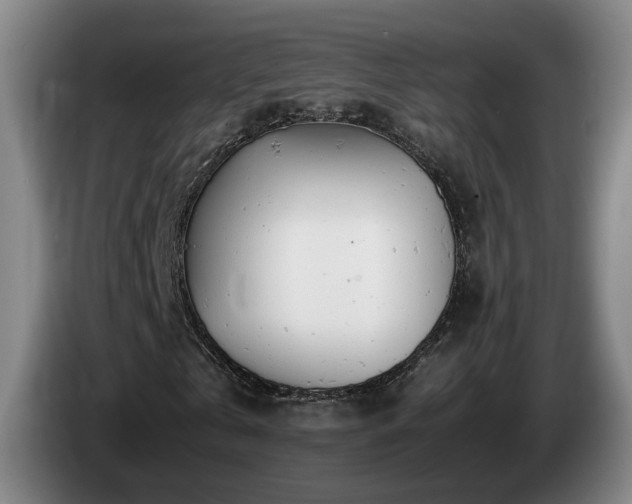 X0000085210769200703091138