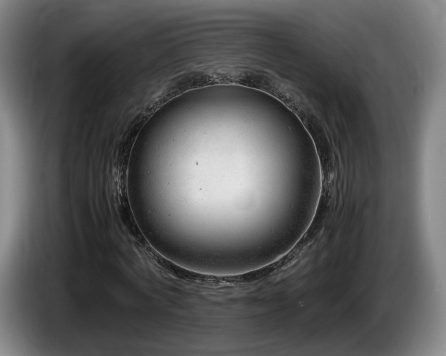 X0000085210772200703091138