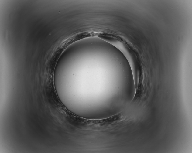 X0000085210773200703091138