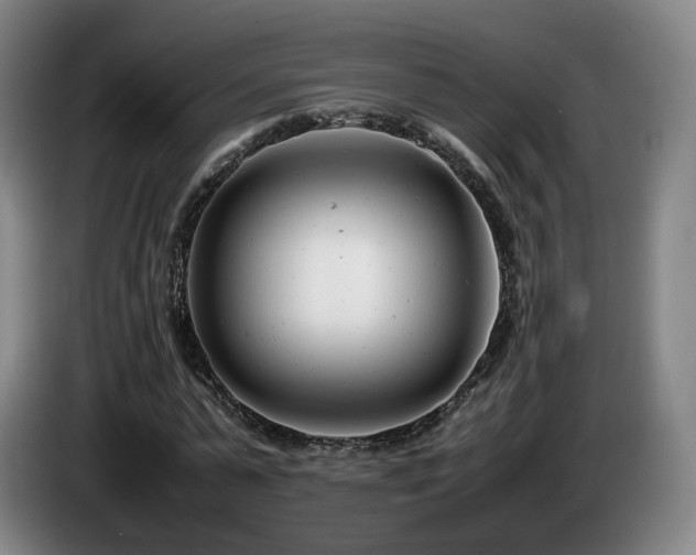X0000085210775200703091138