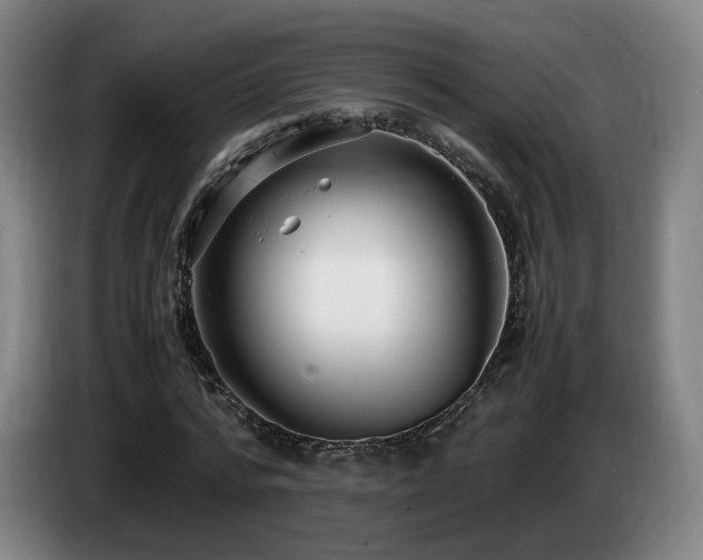 X0000085210776200703091138