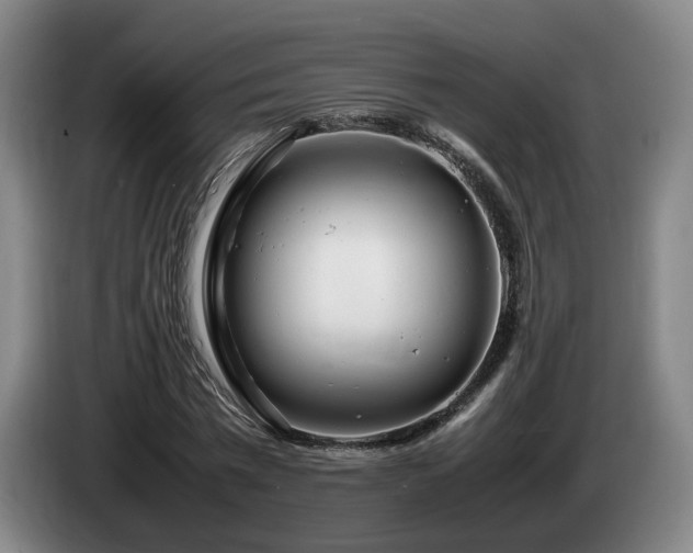 X0000085210777200703091138