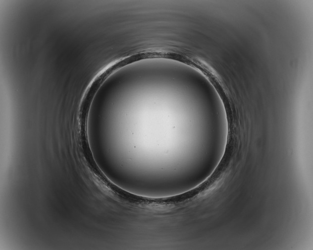 X0000085210779200703091138