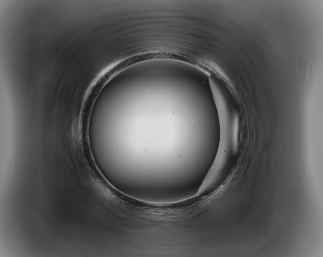 X0000085210780200703091138