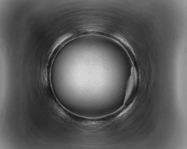 X0000085210782200703091138