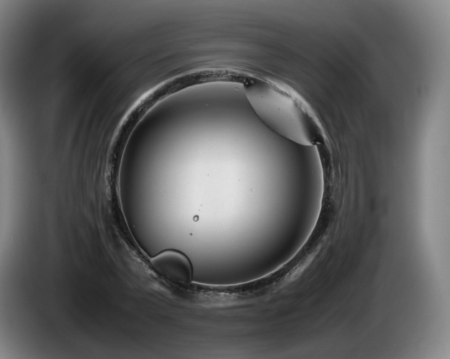 X0000085210783200703091138