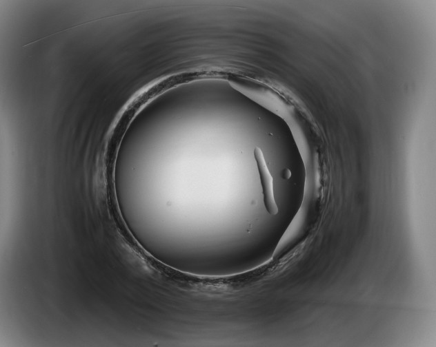 X0000085210784200703091138