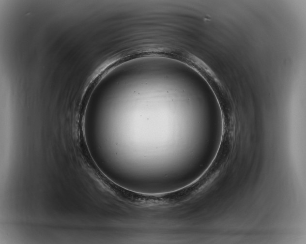 X0000085210786200703091138