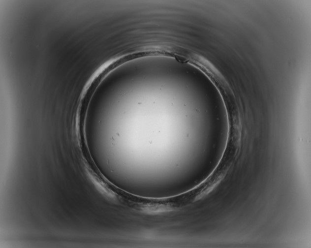 X0000085210788200703091138