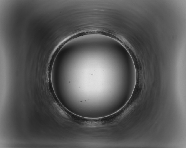 X0000085210789200703091138