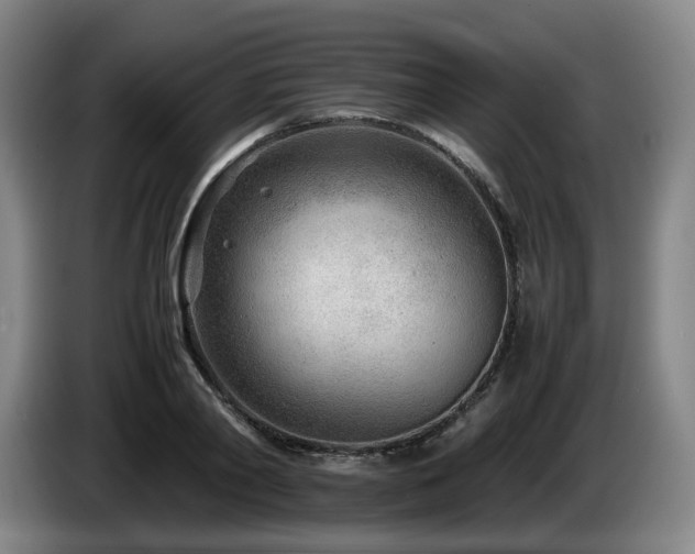 X0000085210790200703091138