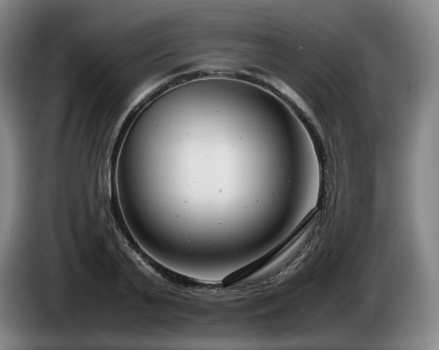 X0000085210791200703091138