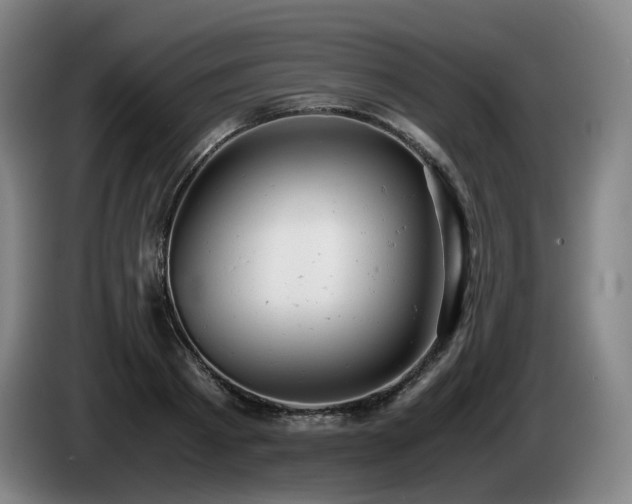 X0000085210793200703091138