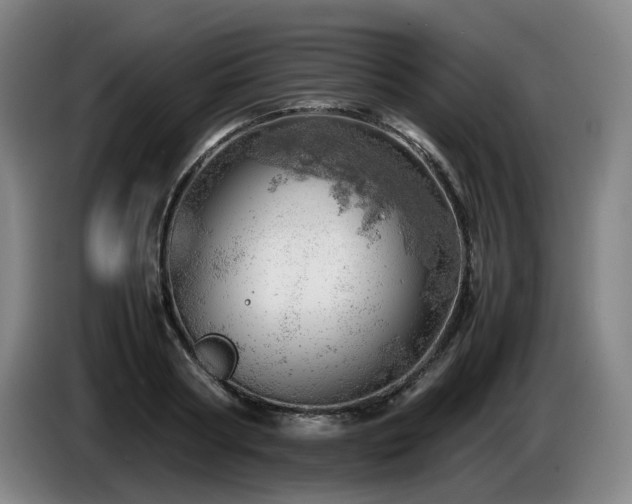 X0000085210794200703091138