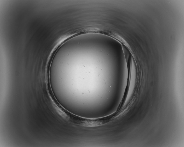 X0000085210795200703091138