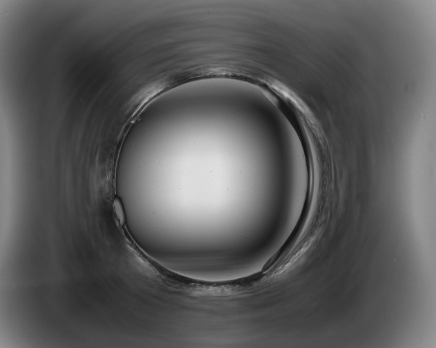 X0000085210801200703091137