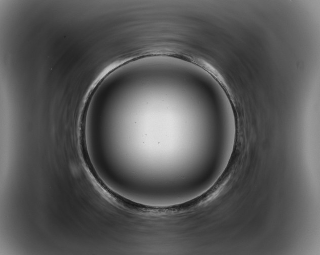 X0000085210803200703091137