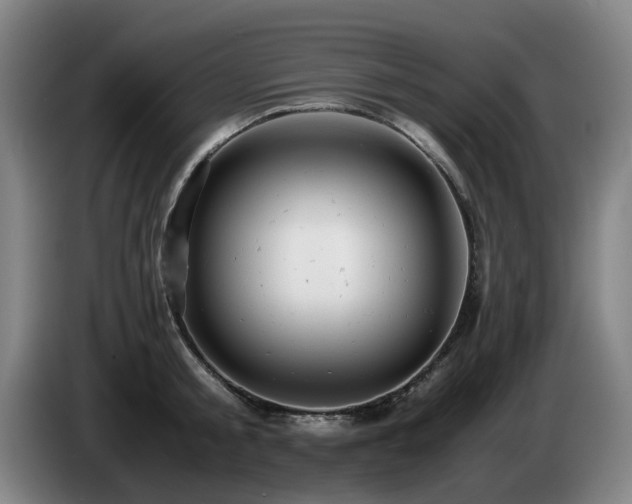 X0000085210805200703091137