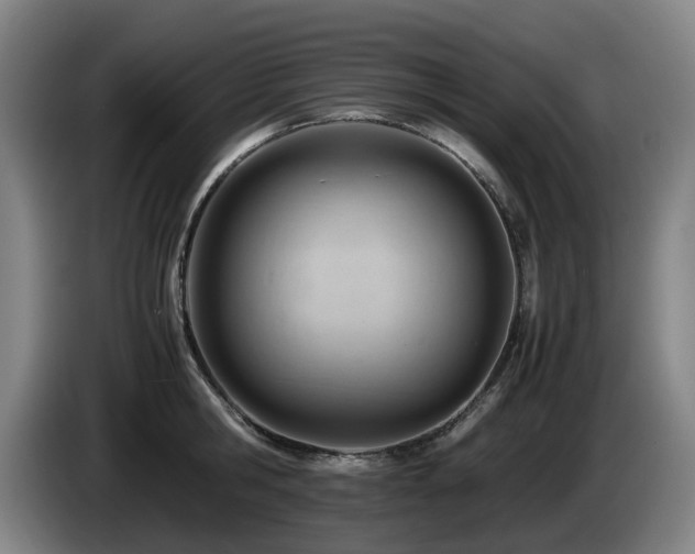 X0000085210806200703091137