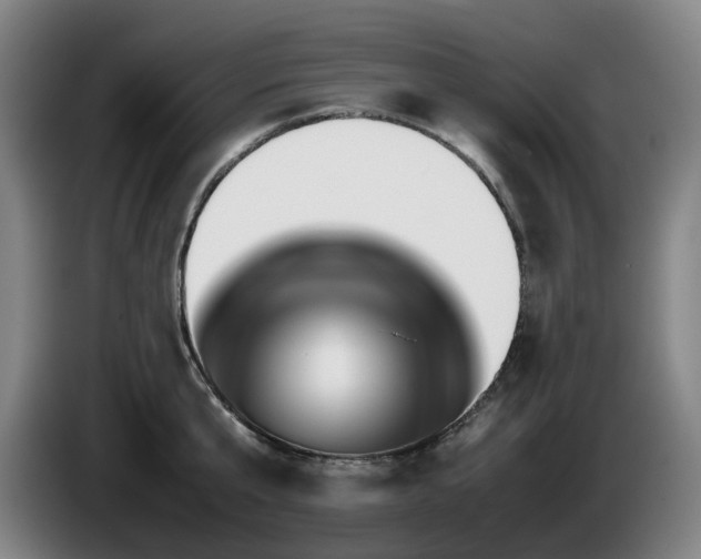 X0000085210807200703091137