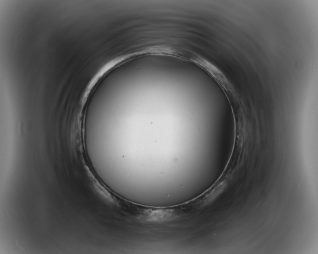 X0000085210808200703091137