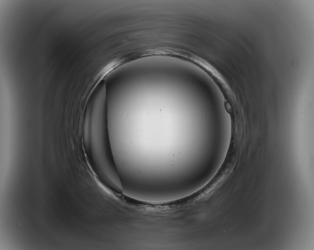 X0000085210809200703091137