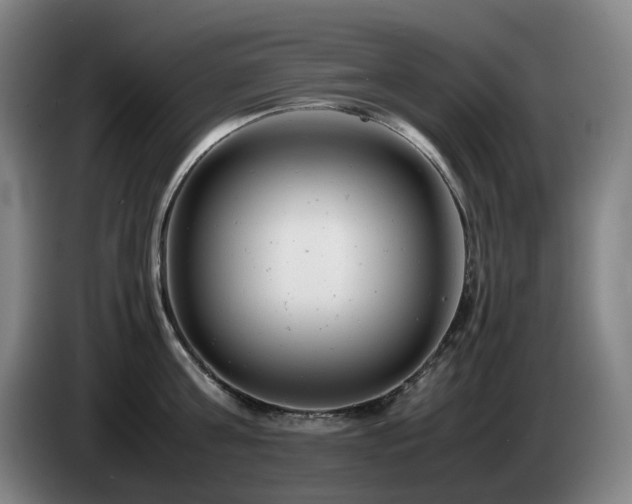 X0000085210811200703091137