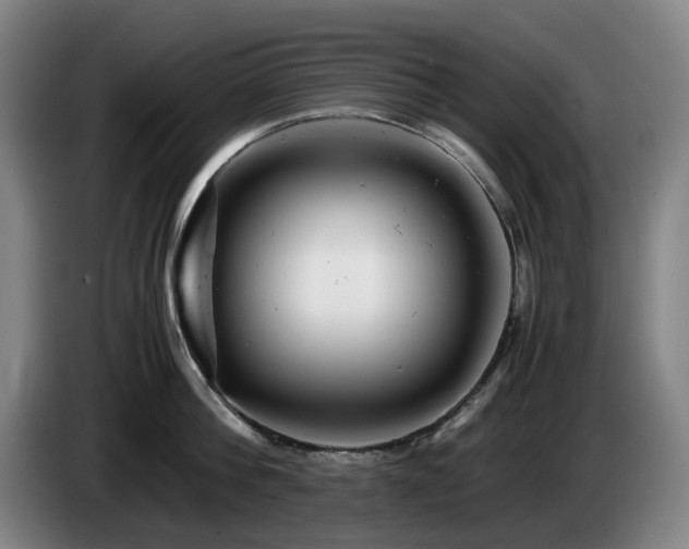 X0000085210812200703091137