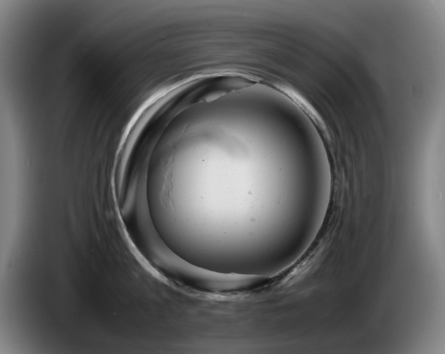 X0000085210813200703091137