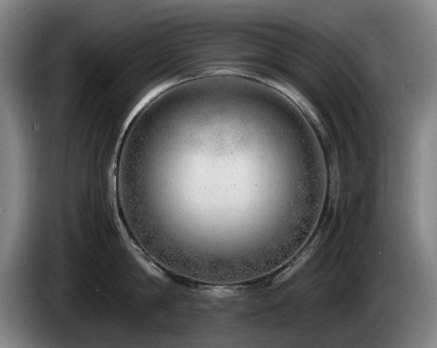 X0000085210814200703091137