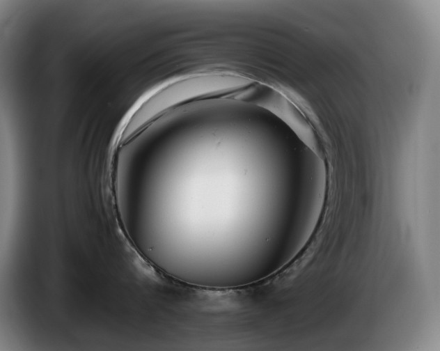 X0000085210816200703091137