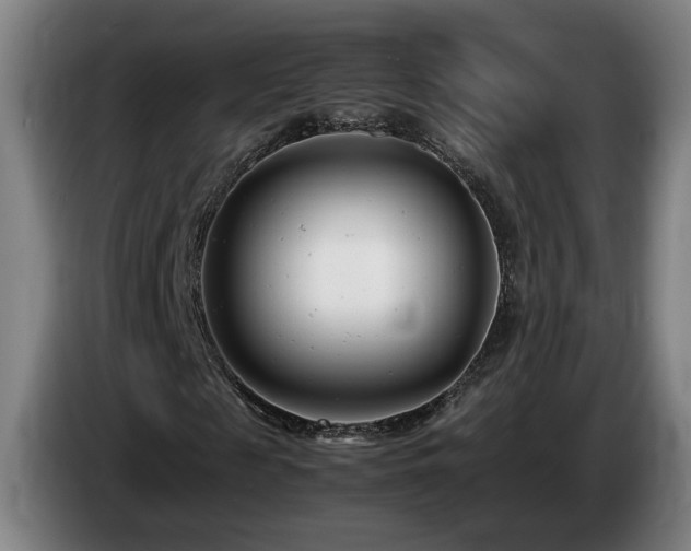 X0000085210817200703091137
