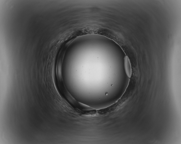 X0000085210818200703091137