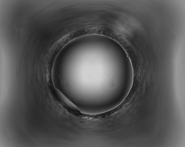 X0000085210821200703091137