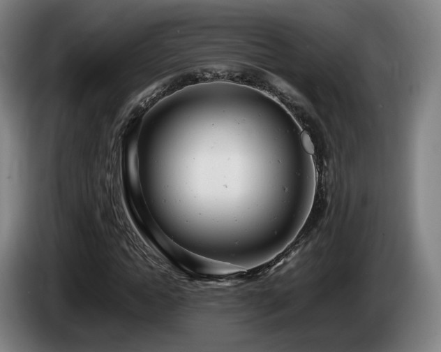 X0000085210822200703091137