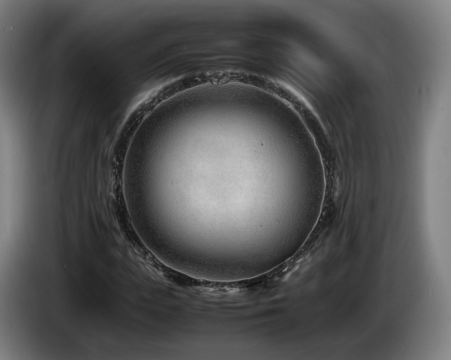 X0000085210823200703091137