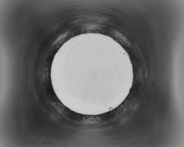 X0000085210824200703091137